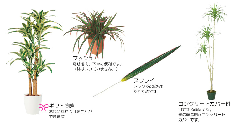 ドラセナ・コンシナ・ユッカの人工観葉植物 | 造花、人工観葉植物 